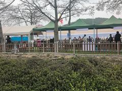 -盈香心动乐园