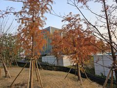 -金鸡湖桃花岛