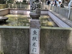 -宁波市保国寺古建筑博物馆