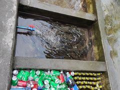 -源泉冷水鱼庄(小鱼洞店)