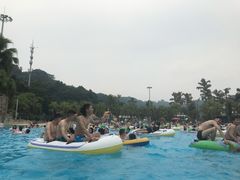 -重庆海昌加勒比海水世界