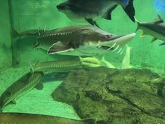 -太平洋海底世界