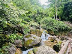 -青城山
