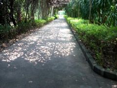 -广东茂名森林公园