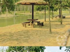 -合肥滨湖国家森林公园