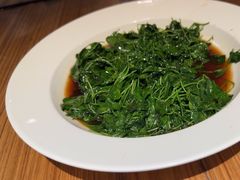 -圆苑(金茂店)