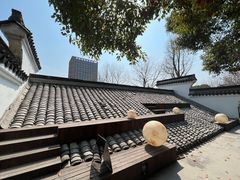 -日出青木
