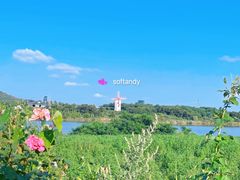 -大连铭湖国际观光牧场