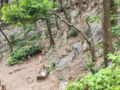 -黔灵山公园