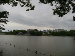 -江心屿景区