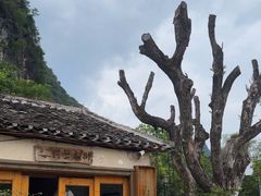 -村上春树