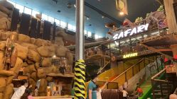 -卡通尼·Safari非洲探索乐园·生日会(金桥国际商业广场店)