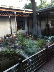 -爱儿美儿童摄影(朝阳公园店)