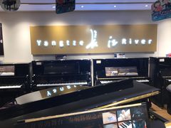 -柏斯琴行(汾阳店)