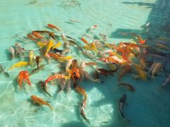 -南通洲际绿博园