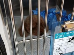 -美联众合动物医院·24h京西诊疗中心
