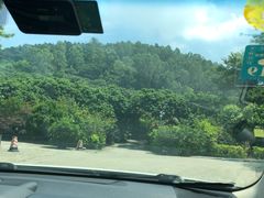 -荔景渔庄