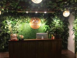 点击看大图 -小熊维尼高端儿童摄影(宝安旗舰店)