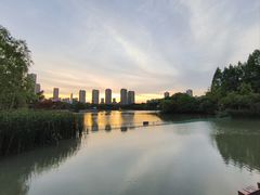 -青枫公园