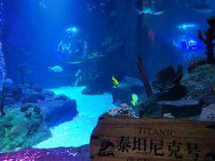 -沈阳海洋探索中心