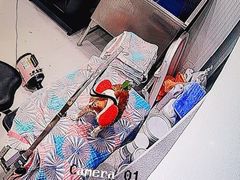 -鼎级派宠物(中南店)