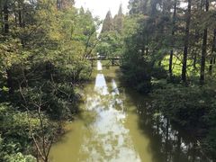 -黄海国家森林公园