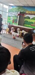 -未来动物城动物主题公园(大悦城店)