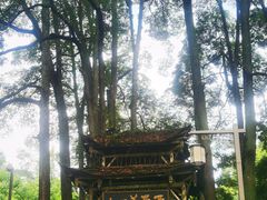 -青城山