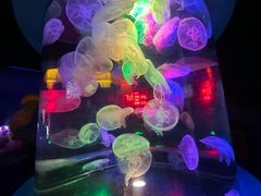 -太平洋海底世界