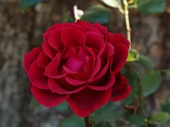 -北京邮电会议中心