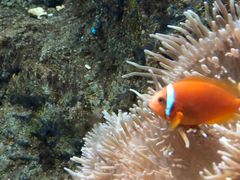 -福州罗源湾海洋世界旅游区