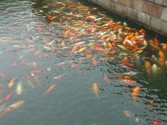 -荆川公园
