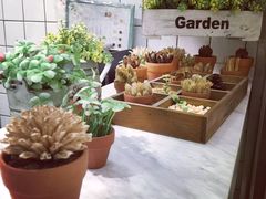 -恋暖初茶(万菱汇店)