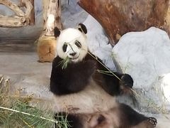 -海南热带野生动植物园