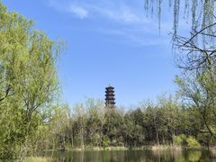-江苏三台山国家森林公园