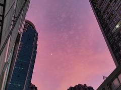 -LINLEE·手打柠檬茶(思北店)