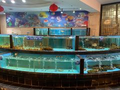 -国龙大酒店-中餐厅
