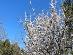 -北京西山国家森林公园