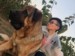 -宠颐生动物医院·心脏科·保险定点(锦阳分院)