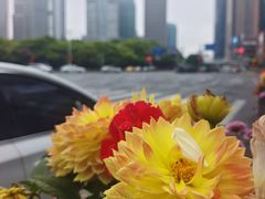 -陆家嘴中心绿地