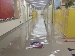 -上海闵行区万科双语学校