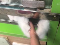 -米卢宠物公园(广华居店)