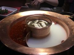 -老诚一锅羊蝎子(黄寺大街店)