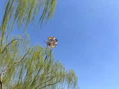 -陶然亭公园