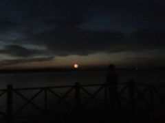 -丁香湖公园