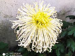 -汇龙潭