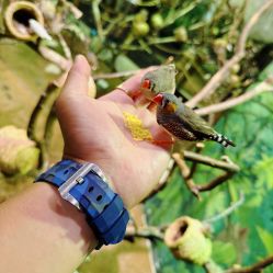 -Zoolung Zoolung动物主题公园(海信广场店)