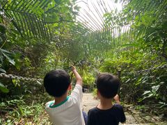 -七仙岭温泉国家森林公园