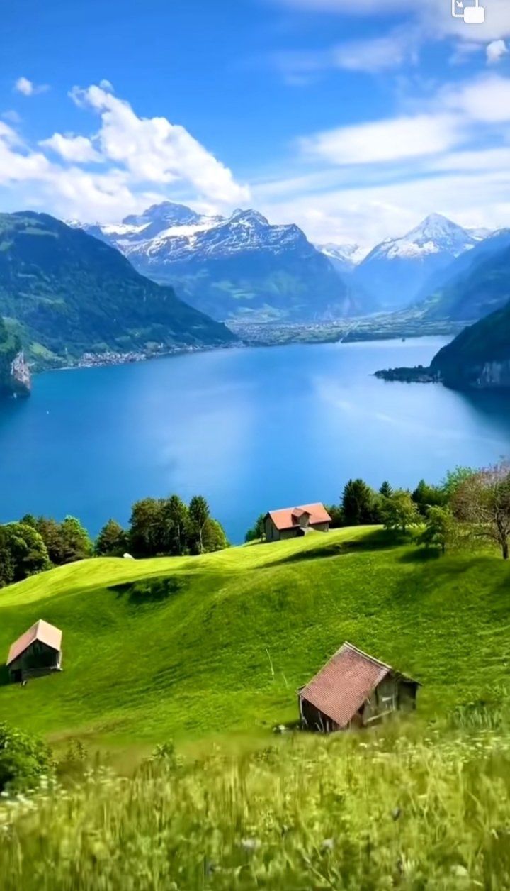 绿色治愈风景