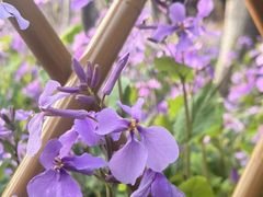 -白塘生态植物园